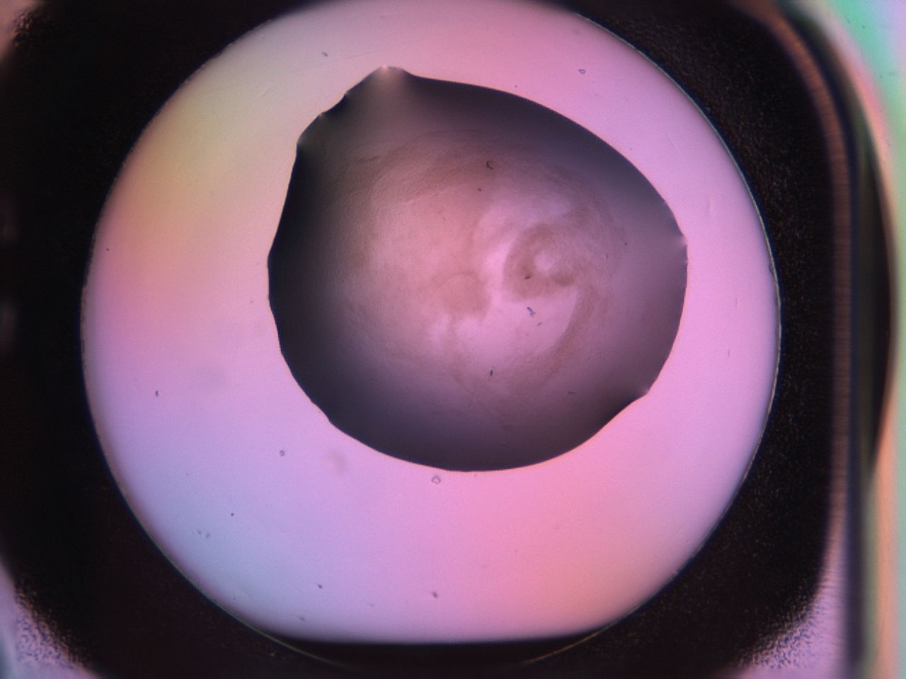 03rw_C2_ImagerDefaults_6.jpg