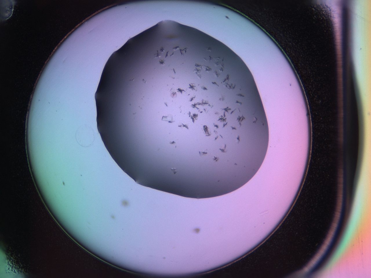 03rw_D11_ImagerDefaults_6.jpg