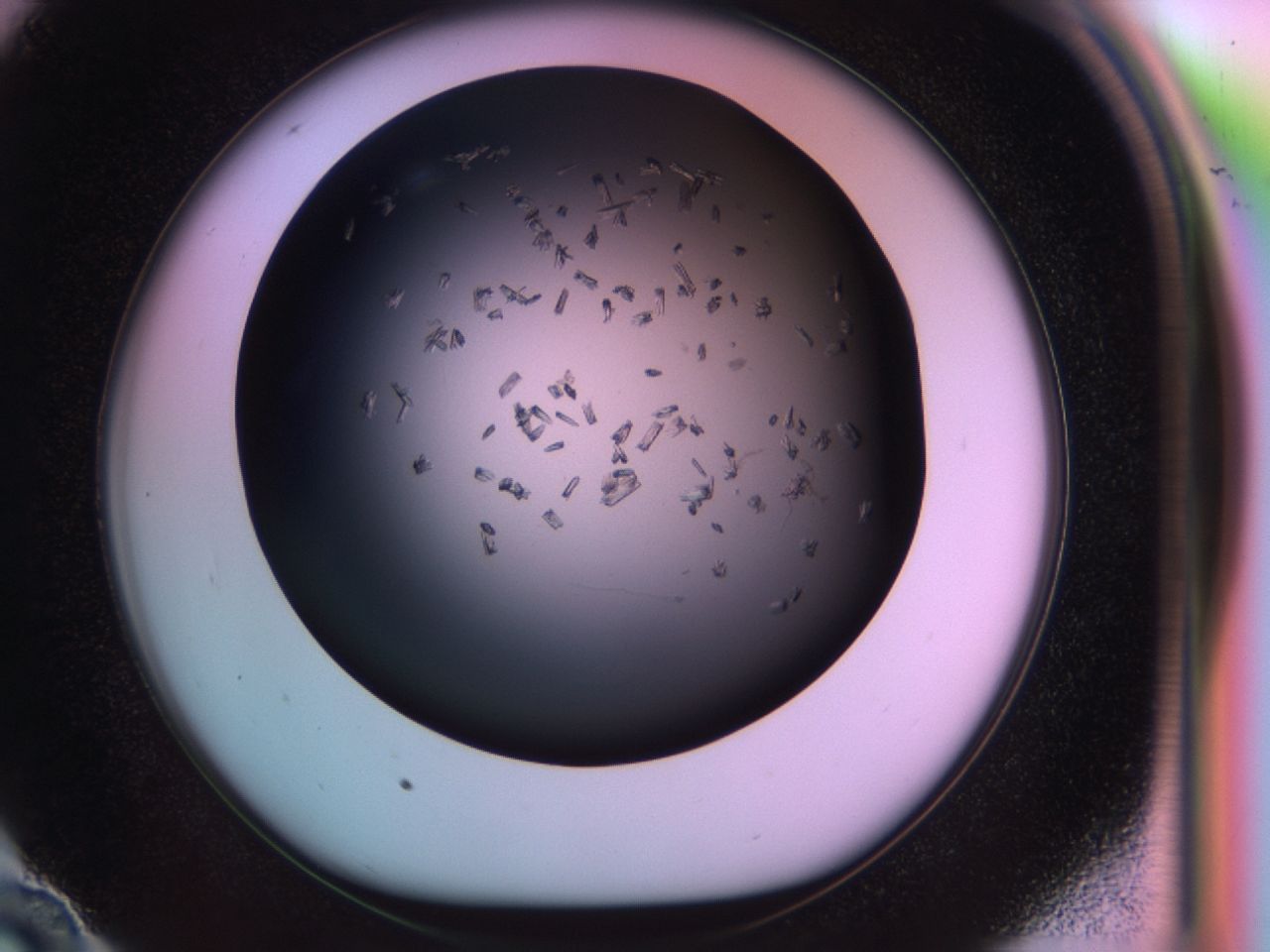 03rw_E10_ImagerDefaults_6.jpg
