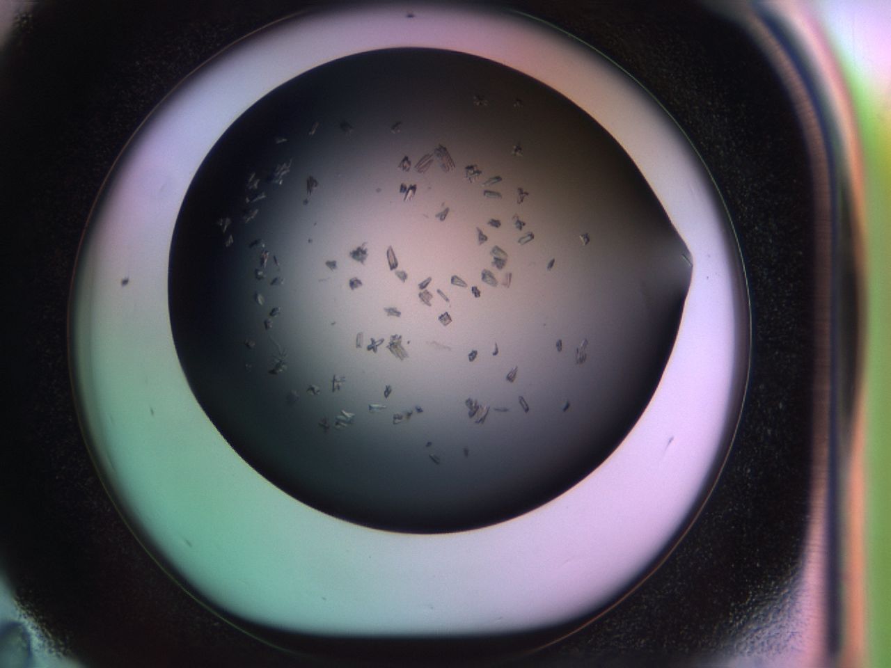 03rw_E11_ImagerDefaults_6.jpg