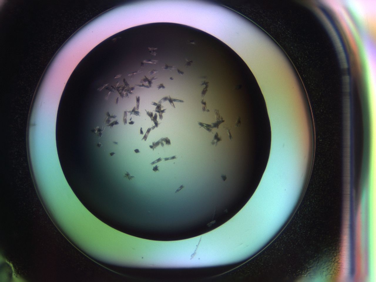03rw_F11_ImagerDefaults_6.jpg