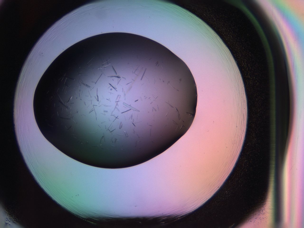 03rw_H1_ImagerDefaults_6.jpg