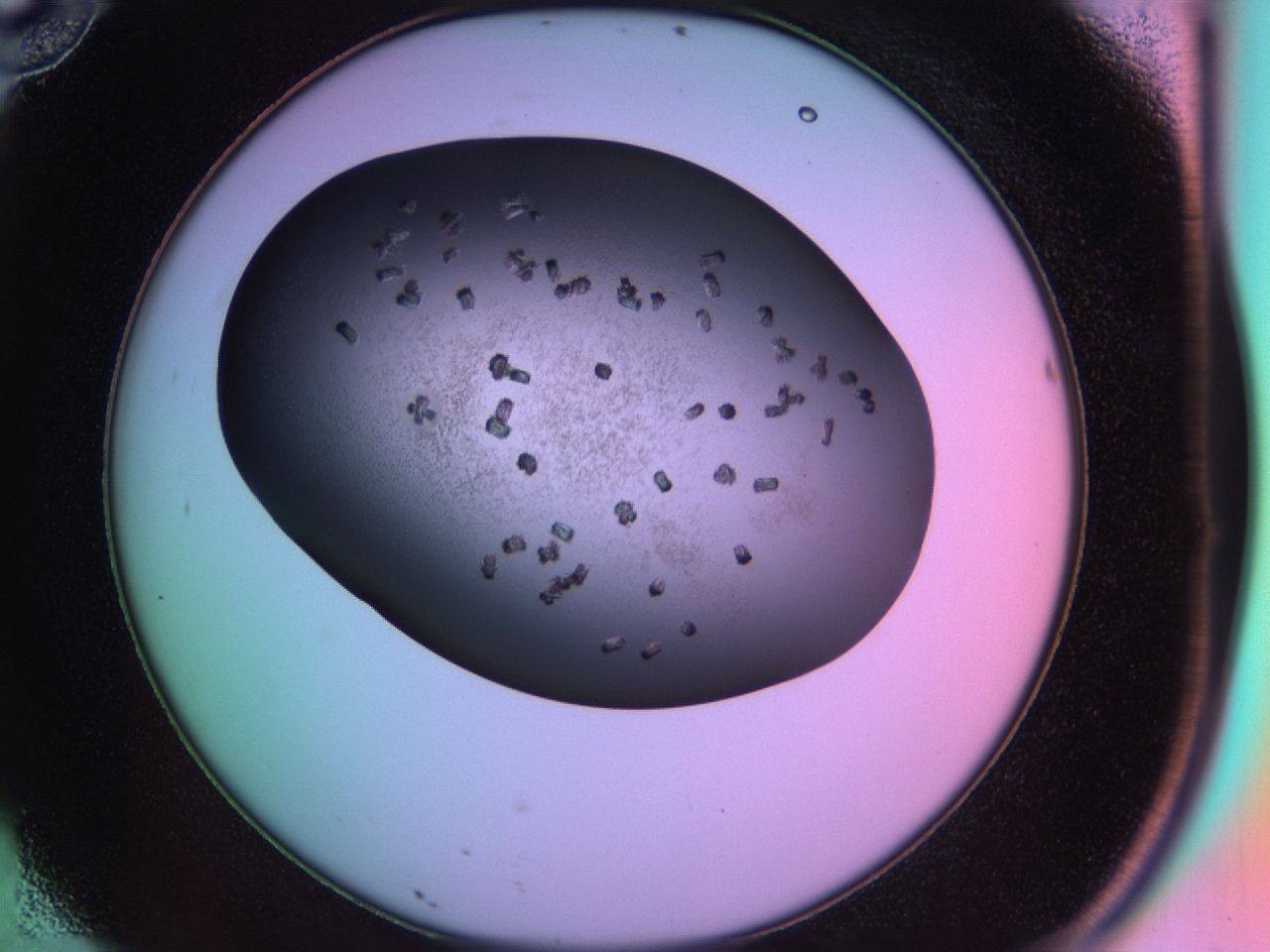 03rx_D10_ImagerDefaults_6.jpg