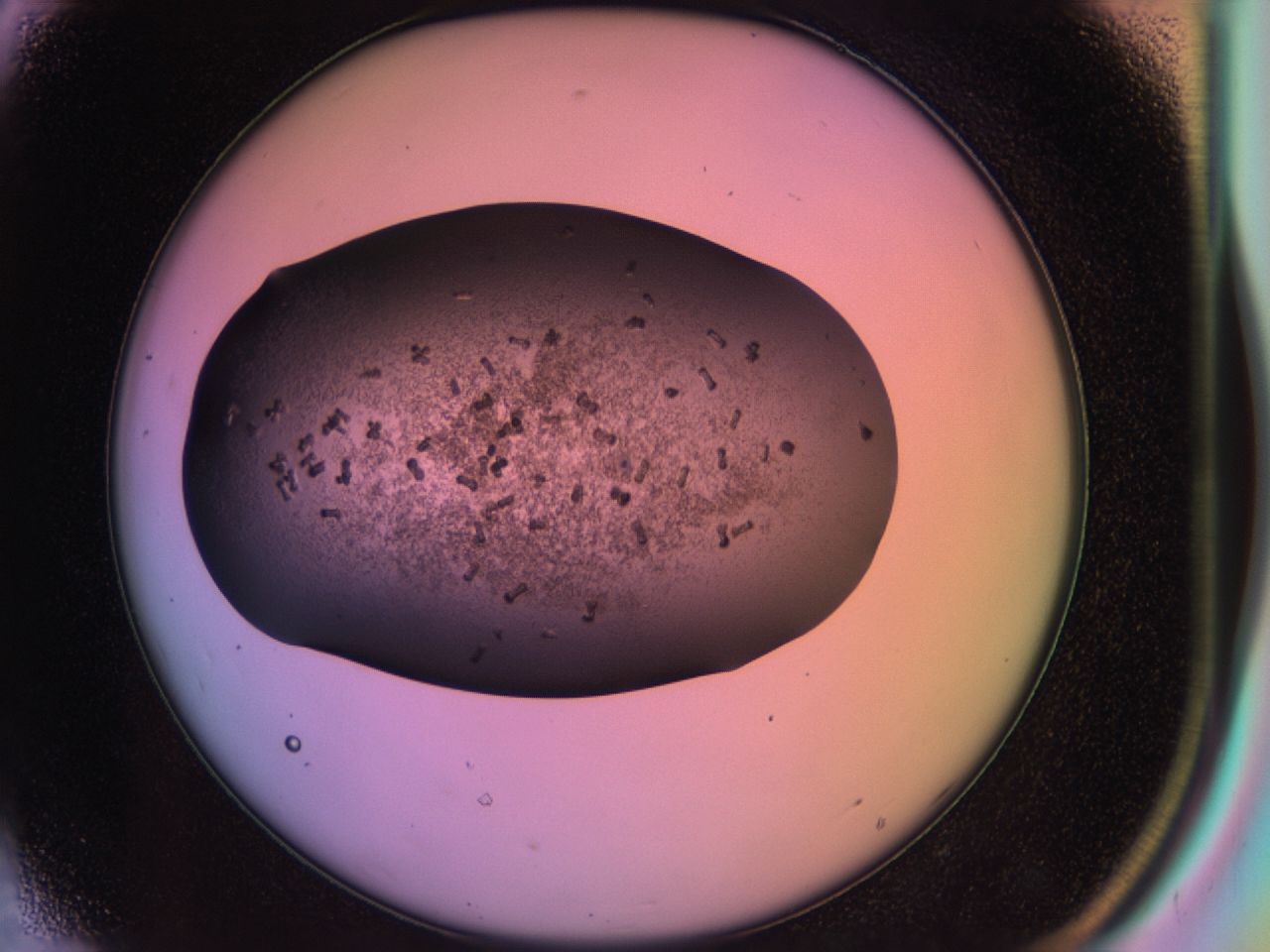 03rx_D8_ImagerDefaults_6.jpg