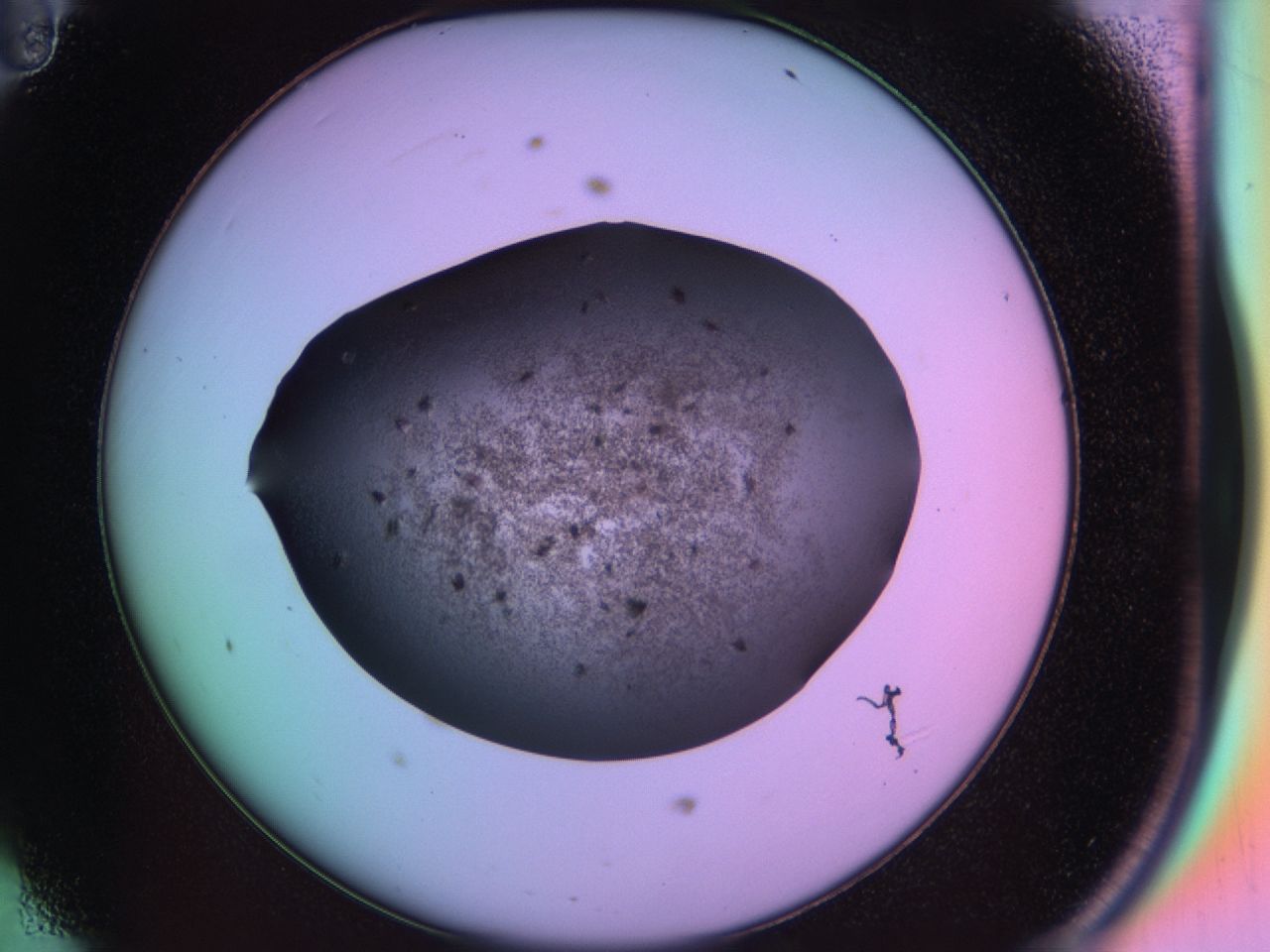 03rx_D11_ImagerDefaults_6.jpg