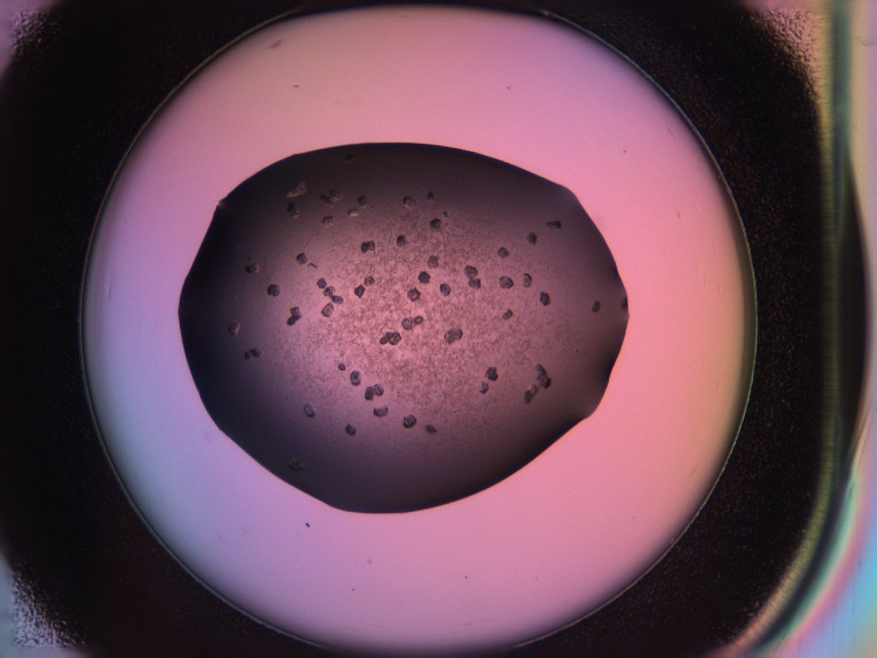 03rx_D7_ImagerDefaults_6.jpg