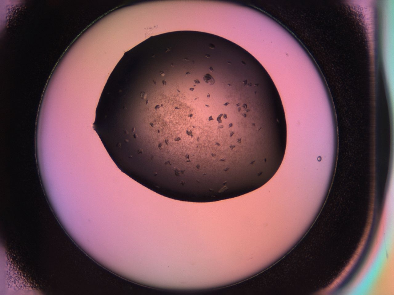 03rx_D1_ImagerDefaults_6.jpg