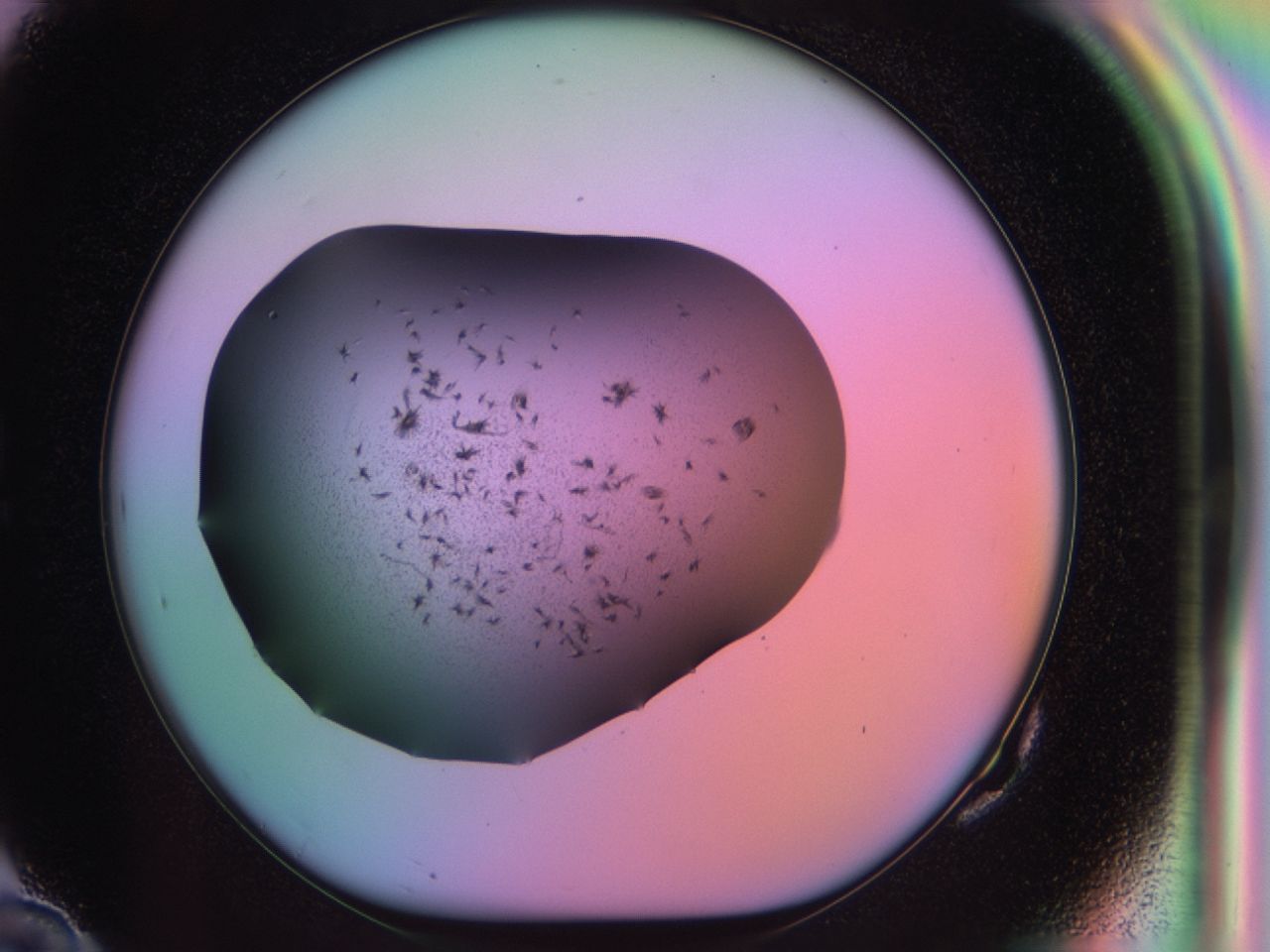 03rx_G10_ImagerDefaults_6.jpg
