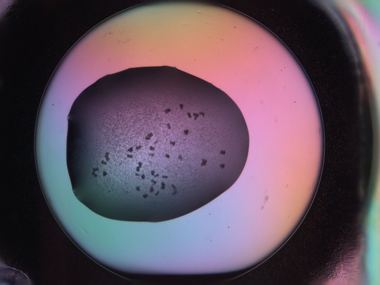 03rx_F12_ImagerDefaults_6.jpg