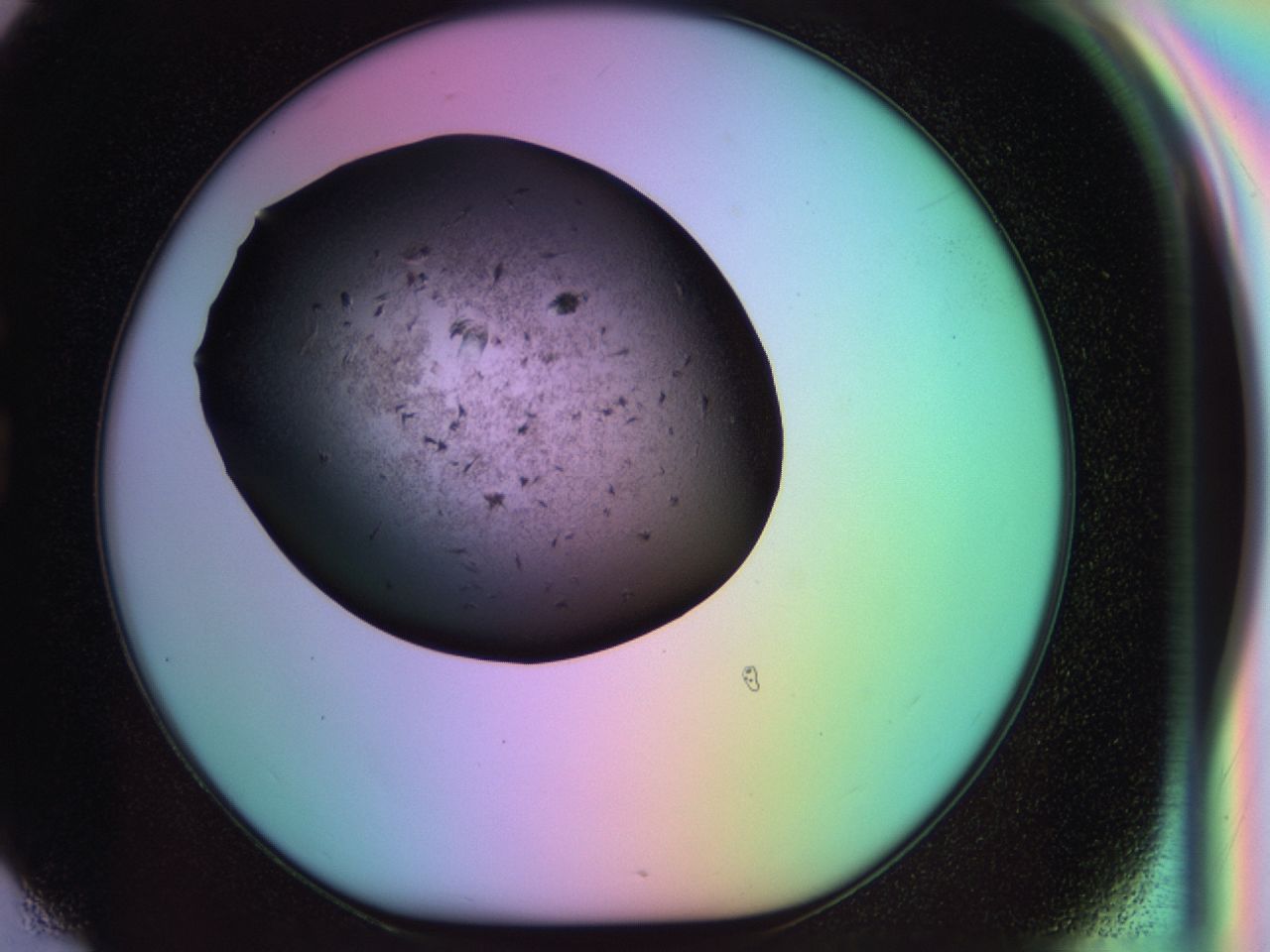 03rx_G6_ImagerDefaults_6.jpg