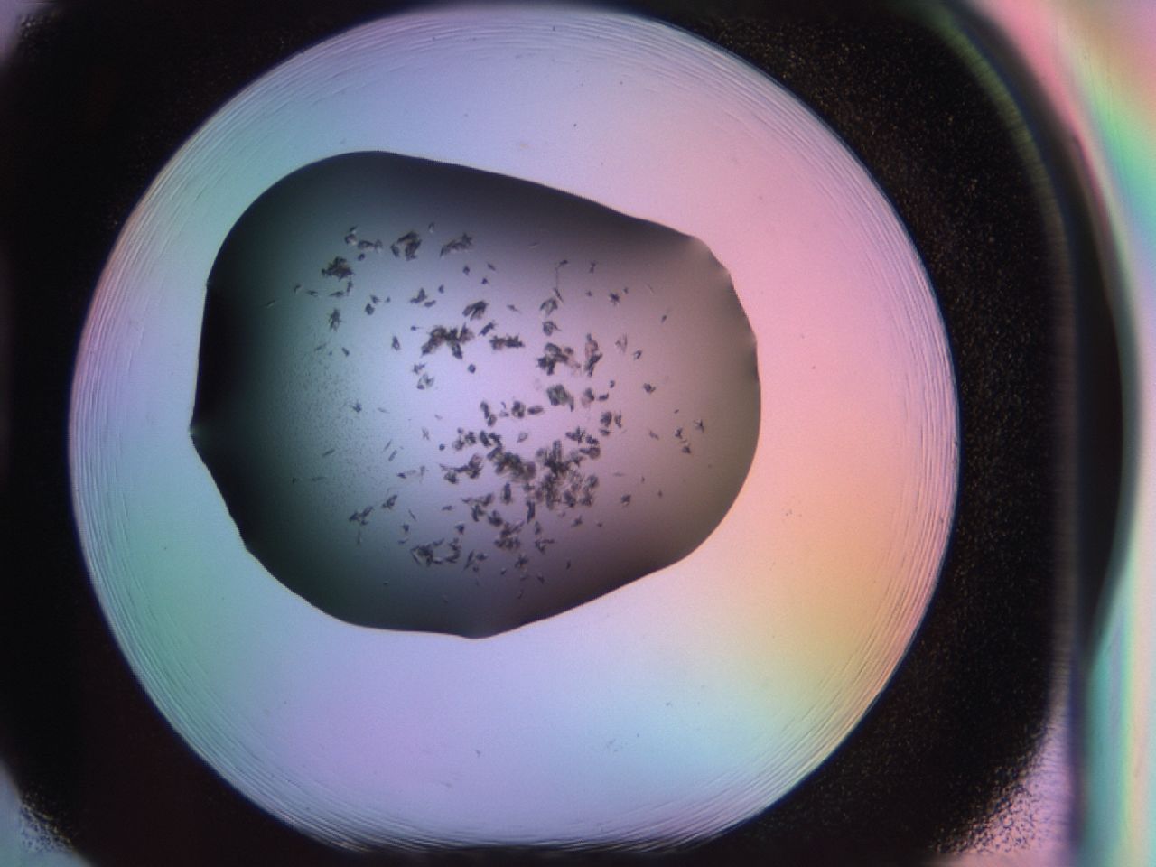 03rx_H2_ImagerDefaults_6.jpg