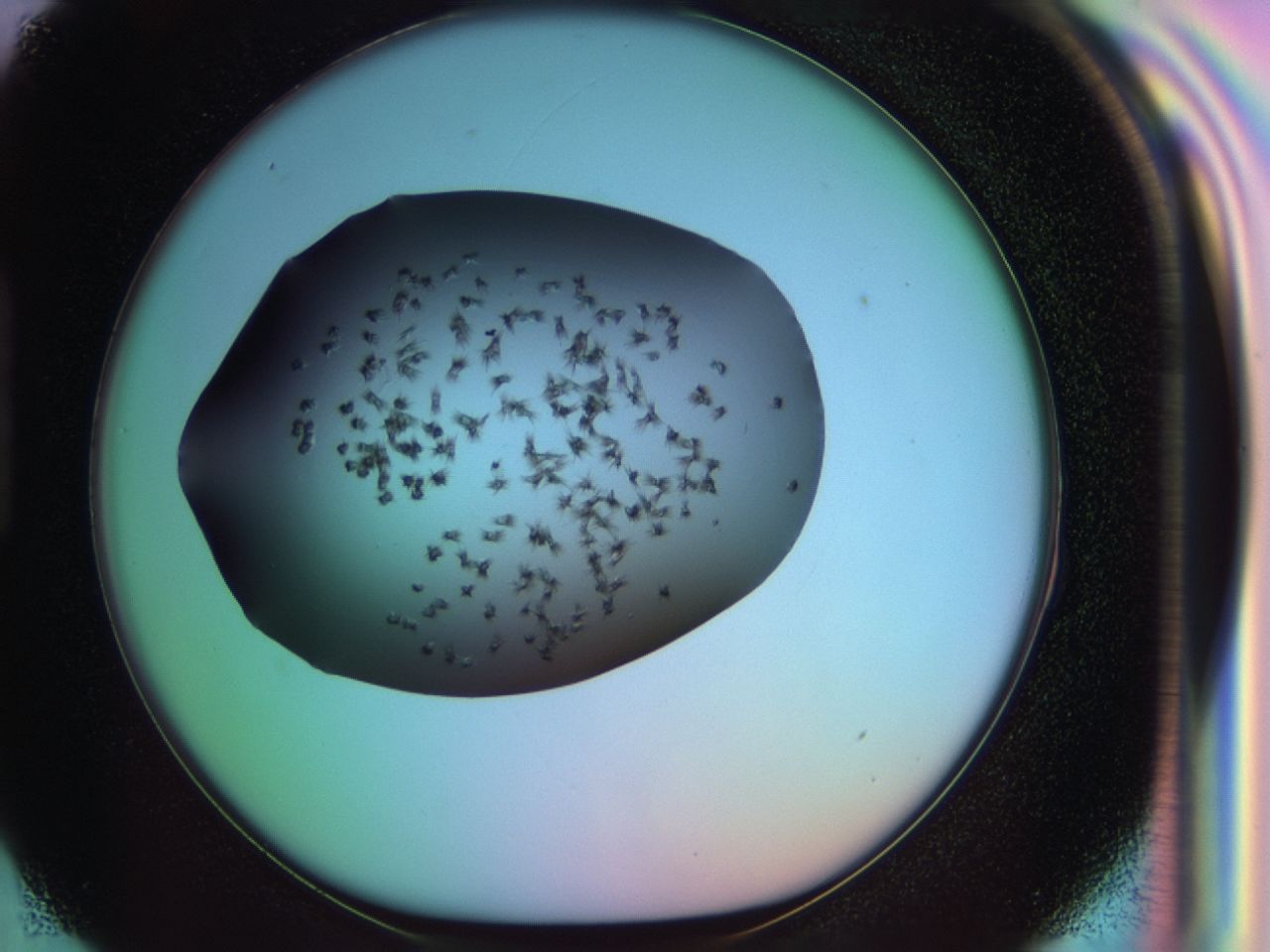 03rx_H3_ImagerDefaults_6.jpg