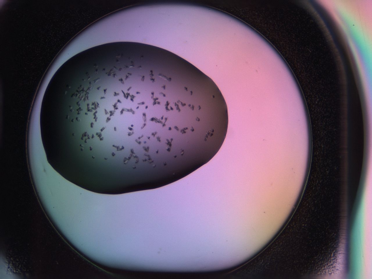 03rx_H5_ImagerDefaults_6.jpg