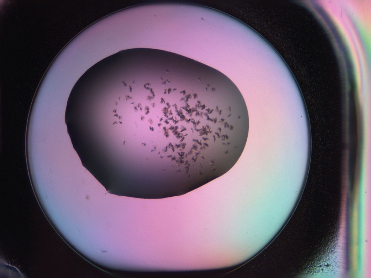 03rx_H10_ImagerDefaults_6.jpg
