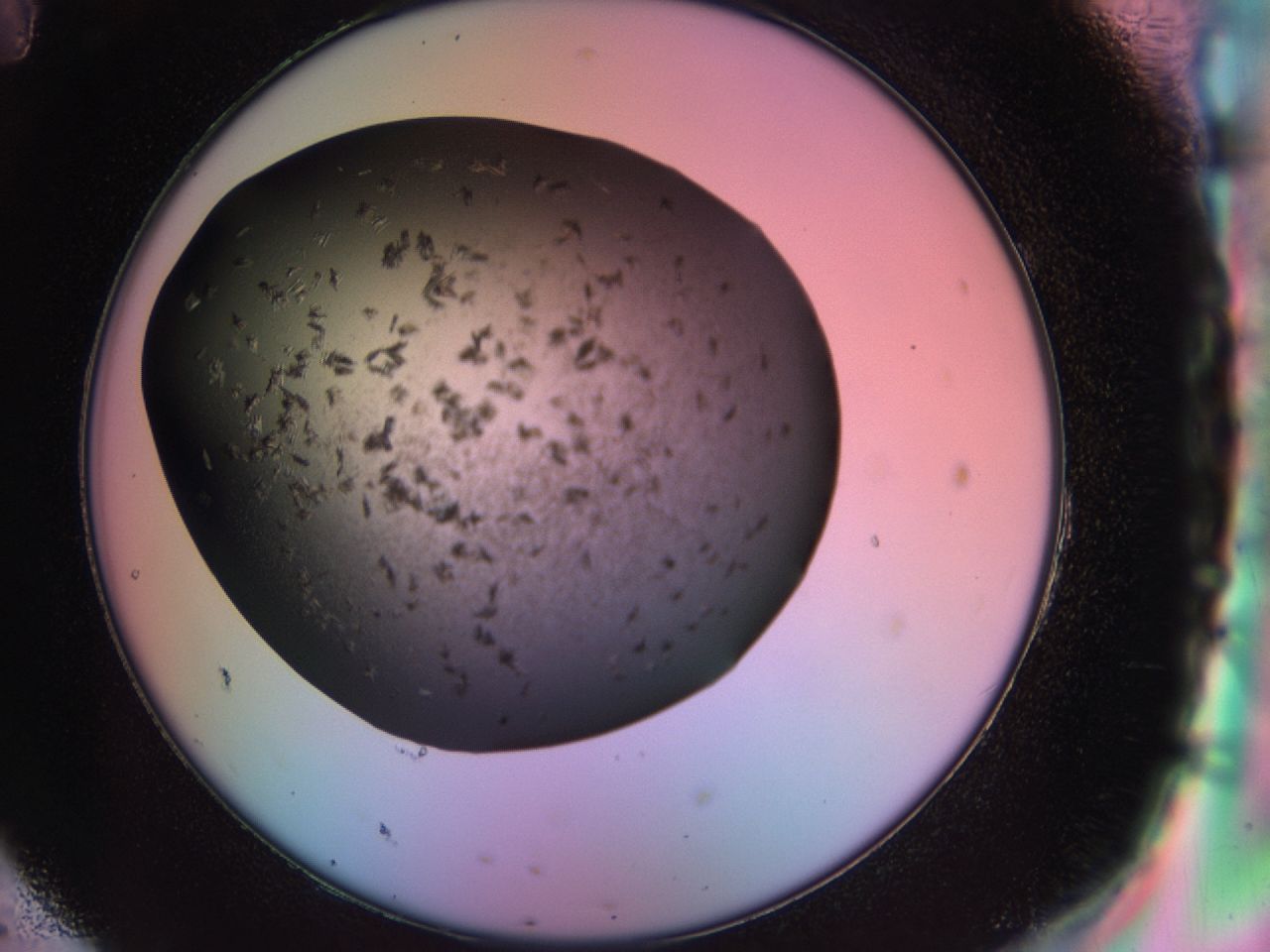 03rx_H11_ImagerDefaults_6.jpg