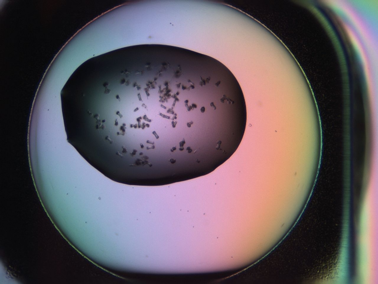 03ry_G7_ImagerDefaults_6.jpg