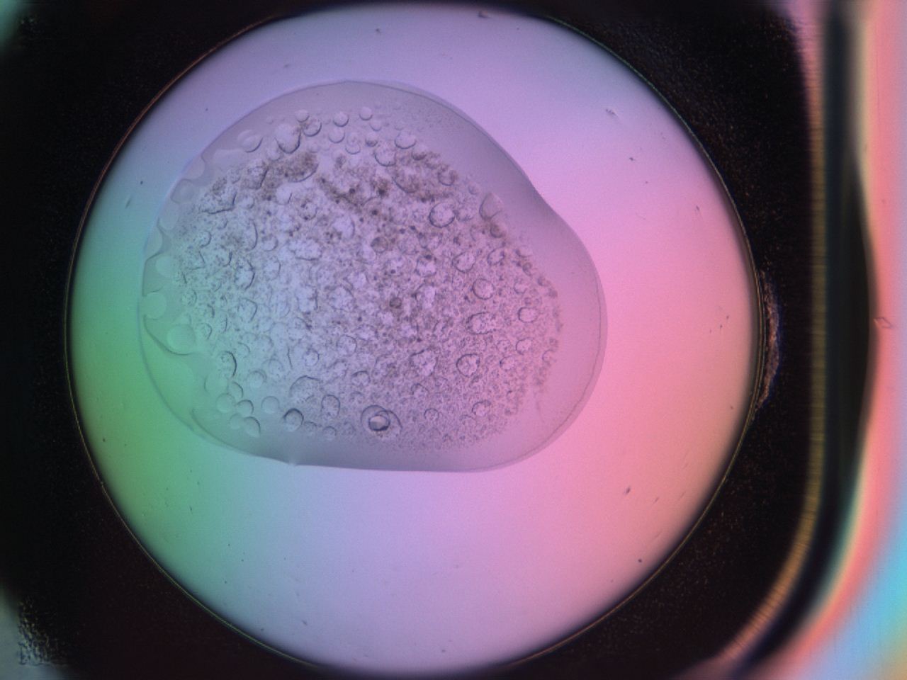 03sx_E6_ImagerDefaults_9.jpg