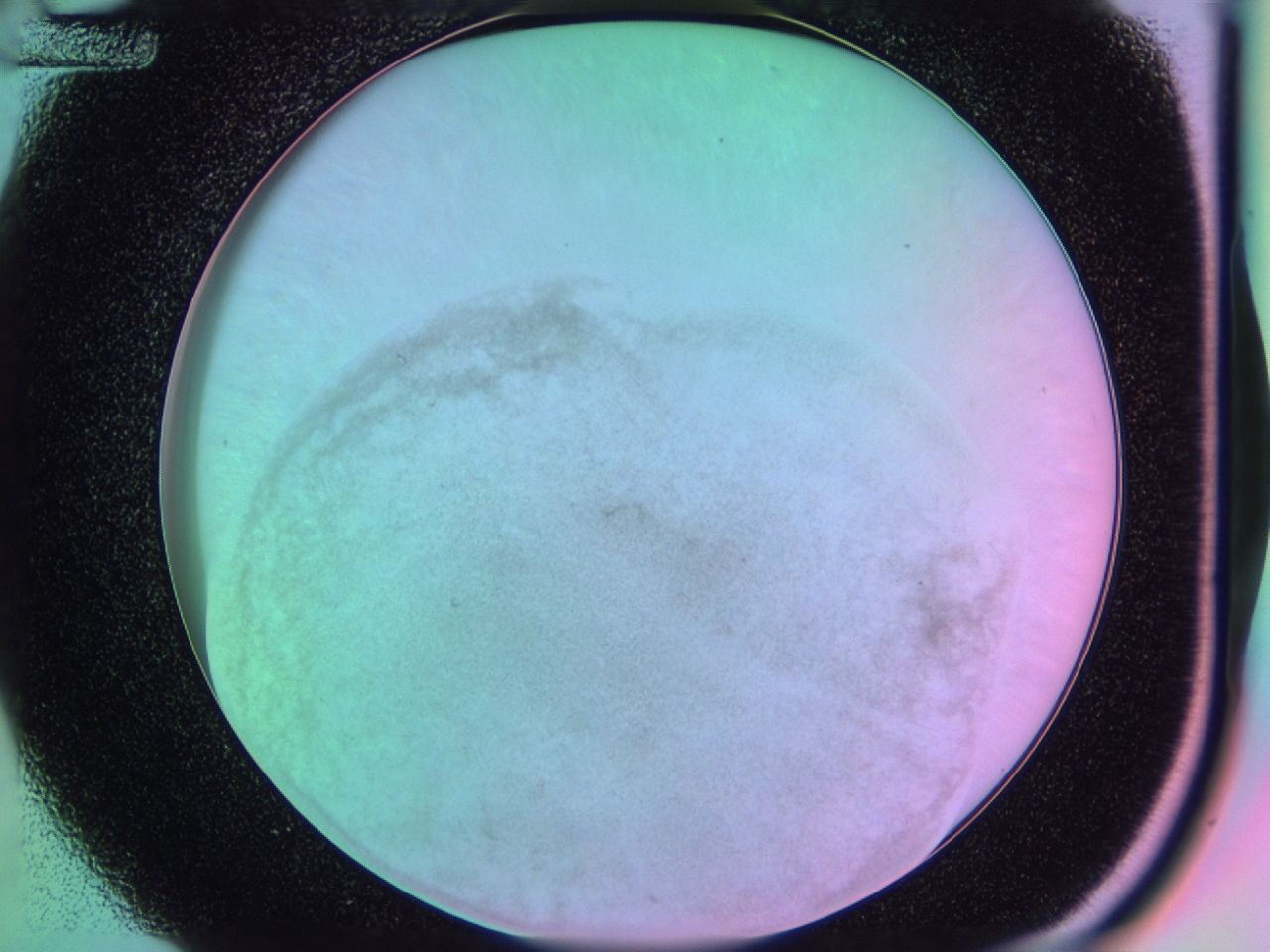 03tp_D12_ImagerDefaults_6.jpg