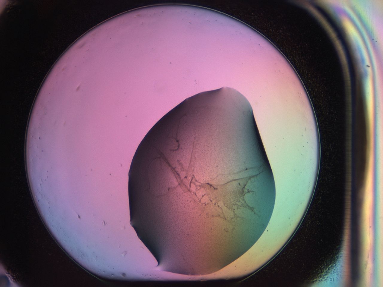 03u4_G11_ImagerDefaults_6.jpg