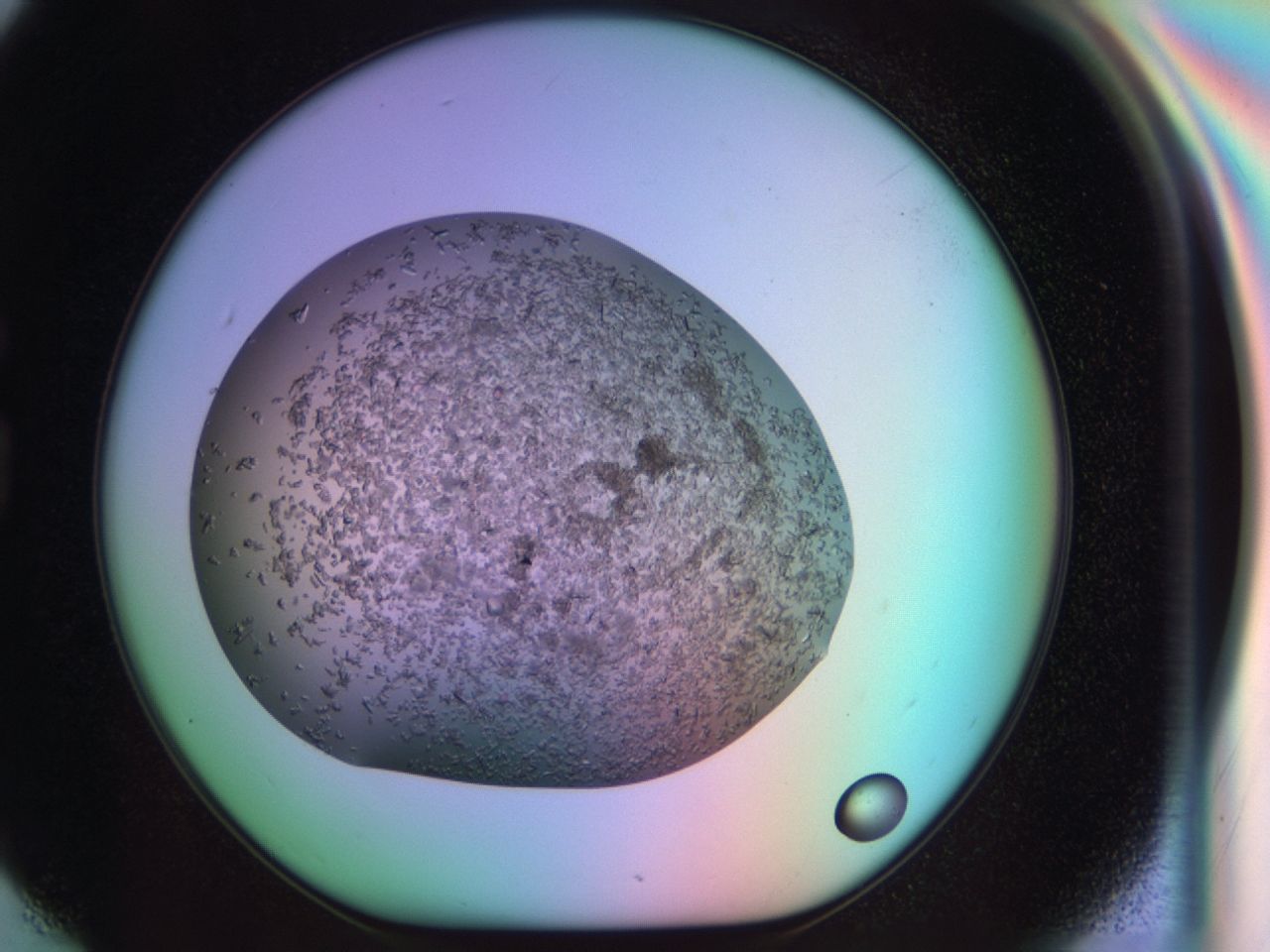 03ul_G6_ImagerDefaults_6.jpg