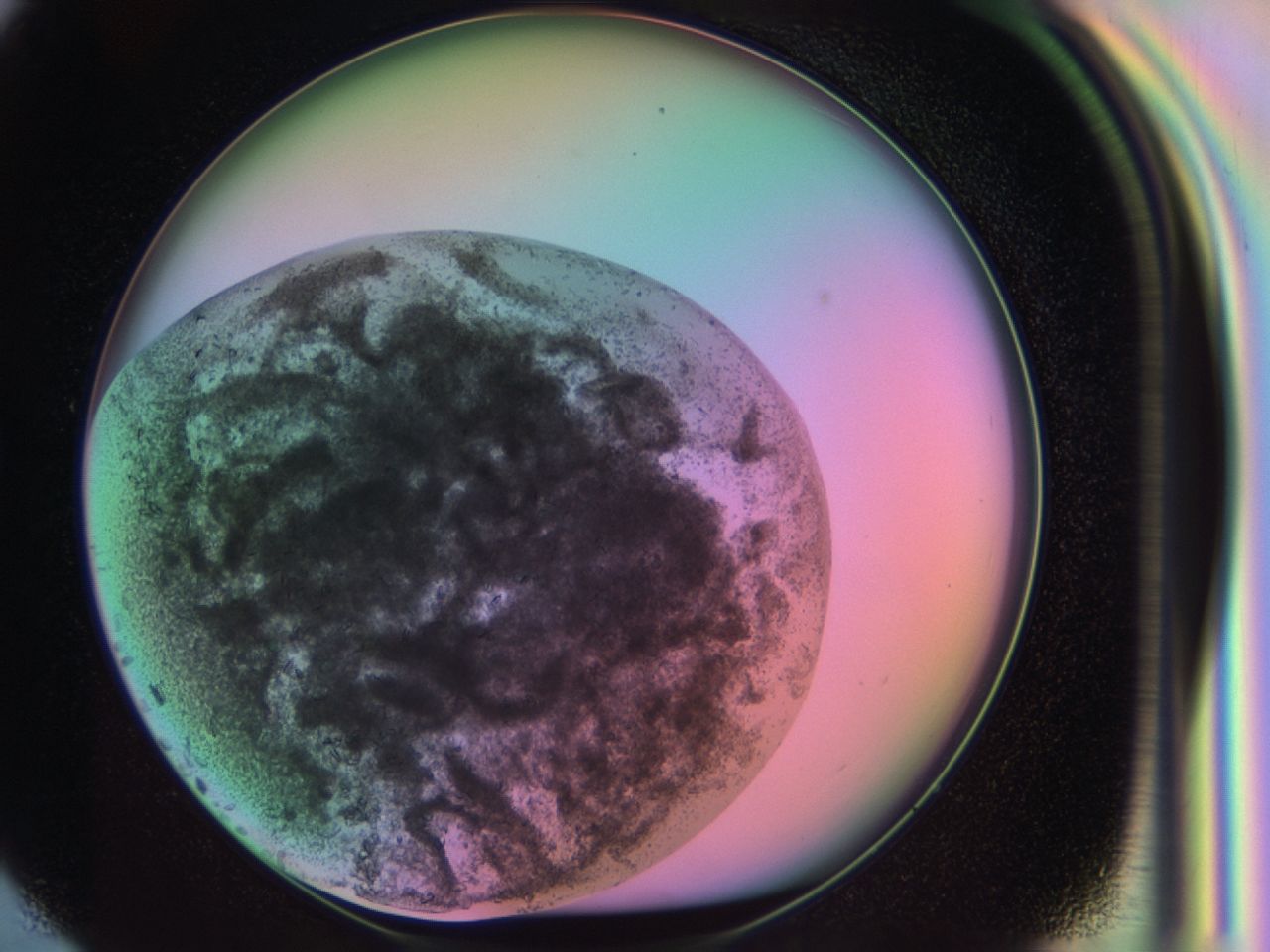 03uq_G4_ImagerDefaults_6.jpg
