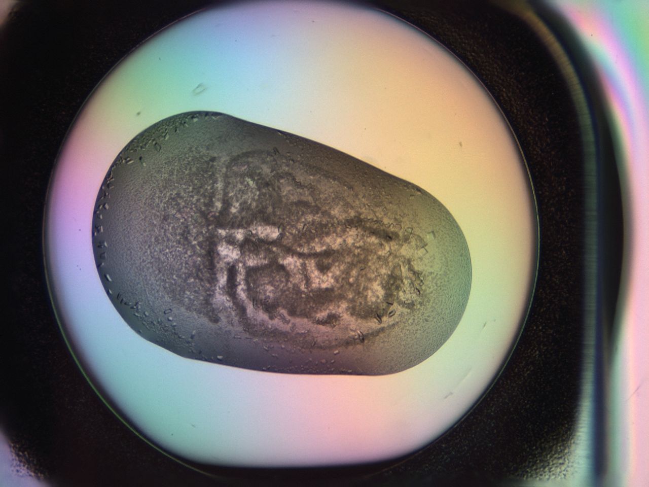 03uq_F3_ImagerDefaults_6.jpg