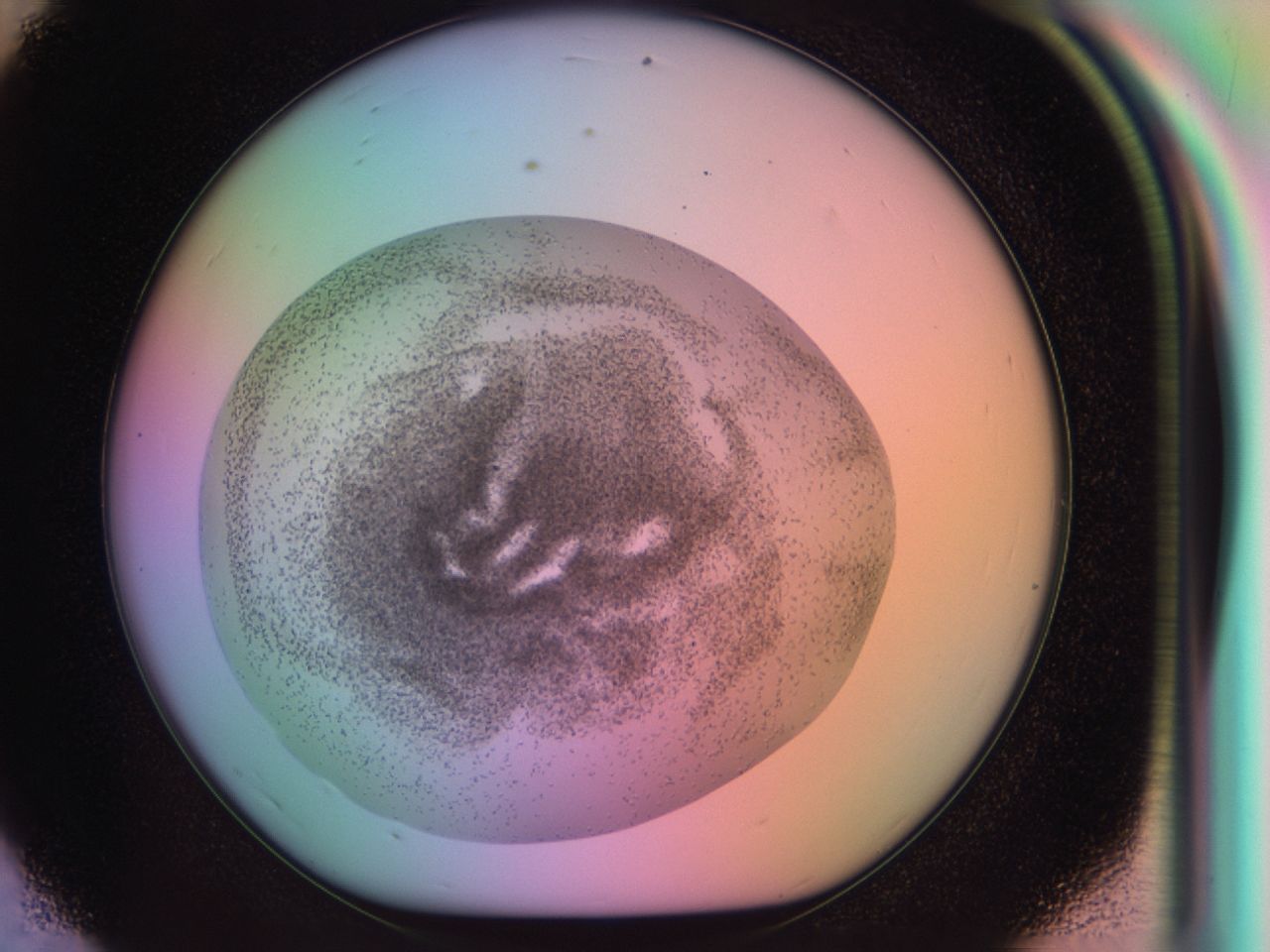 03uq_E8_ImagerDefaults_6.jpg
