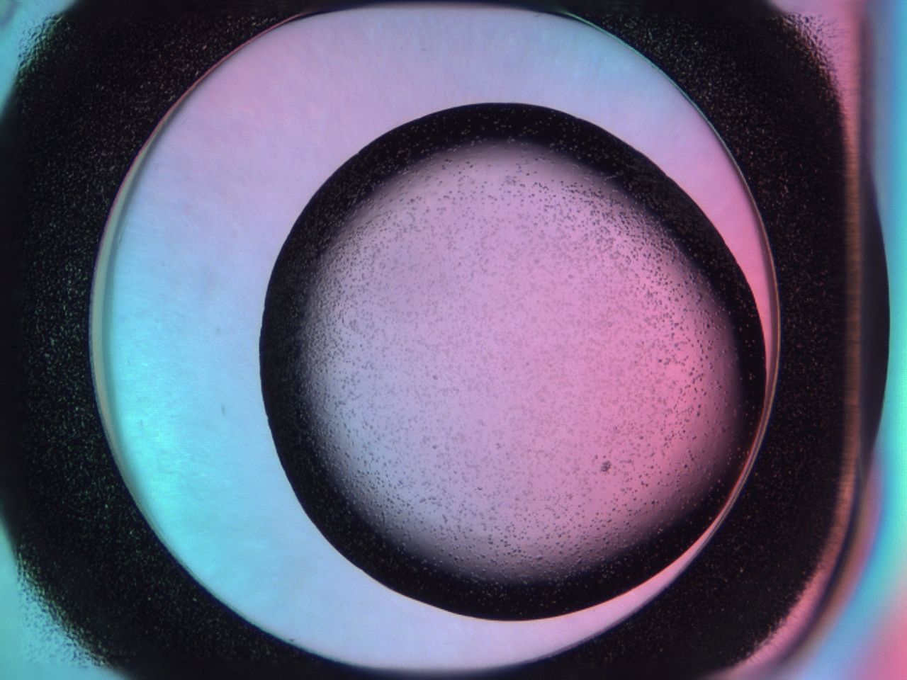 03vf_D6_ImagerDefaults_6.jpg