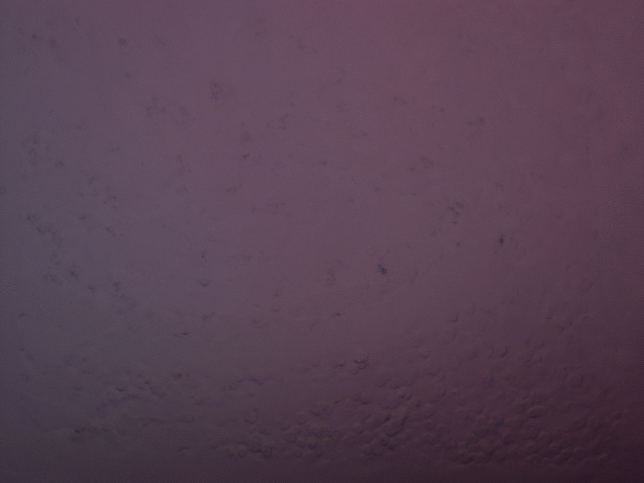 03vh_D7_ImagerDefaults_6.jpg