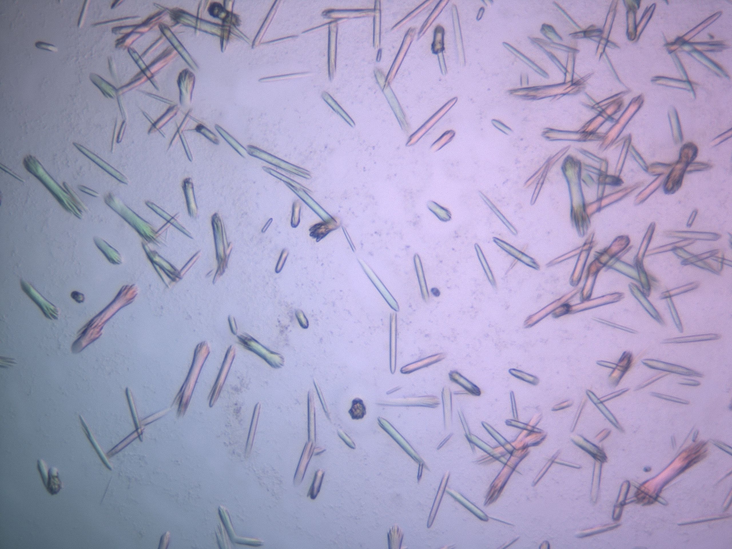 03w8_E9_HighResolution_9.jpg