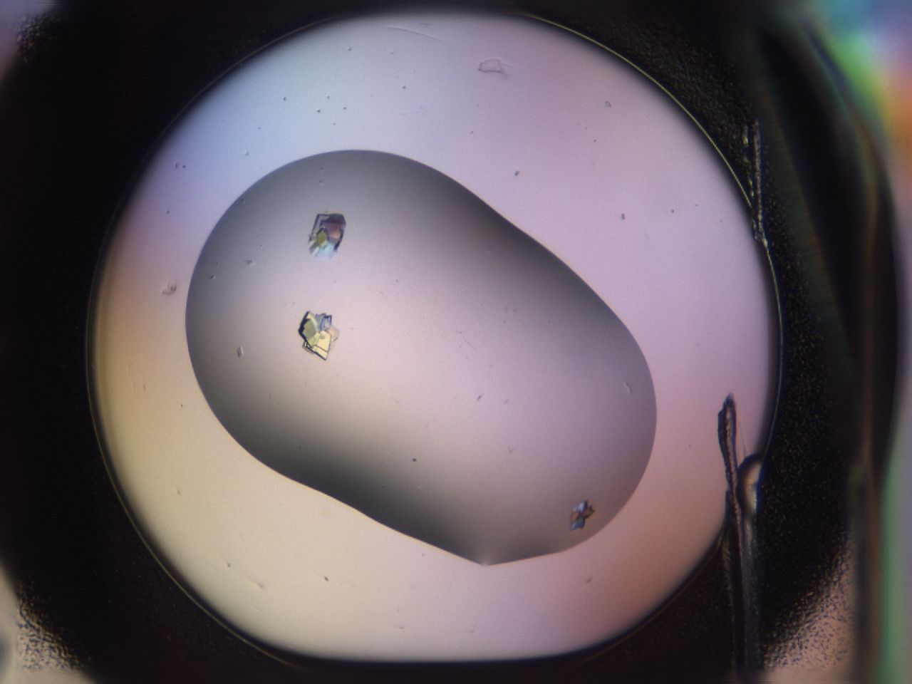 03x4_C7_ImagerDefaults_9.jpg