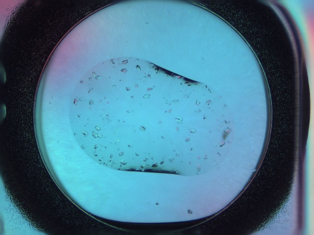 03x5_C8_ImagerDefaults_8.jpg