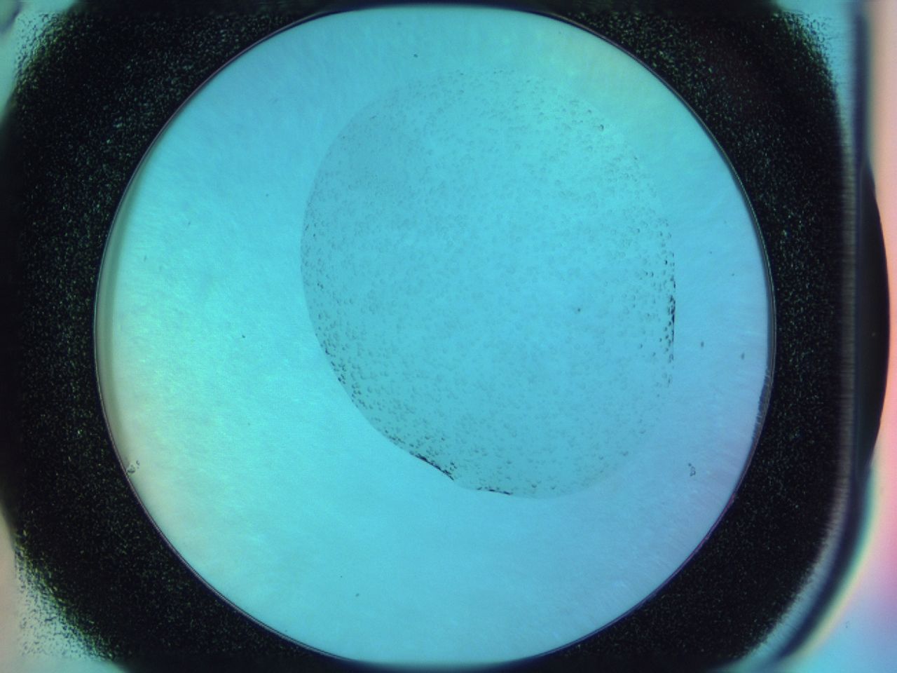 03x5_C6_ImagerDefaults_6.jpg