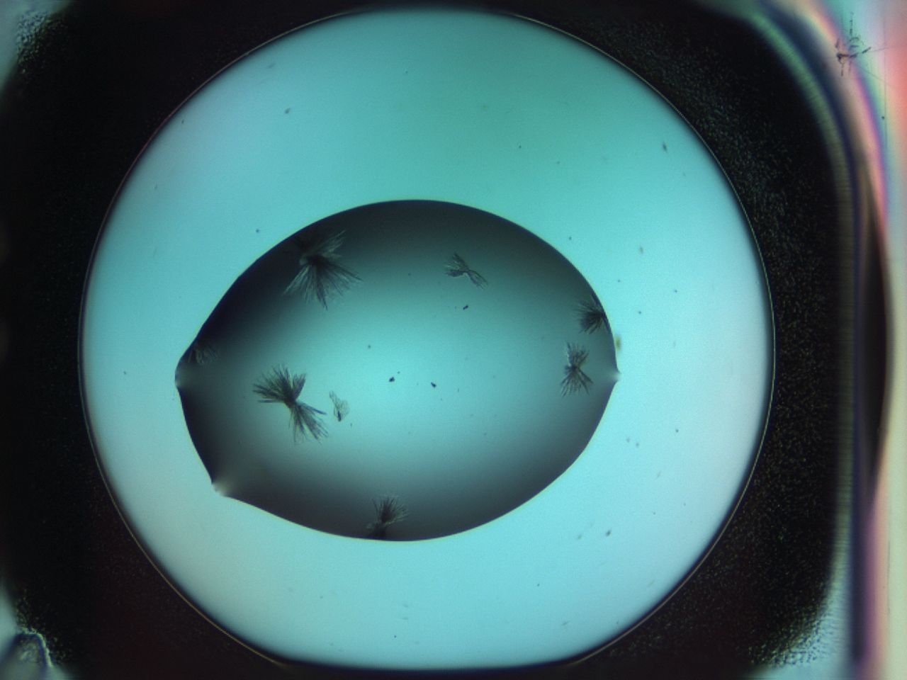 03x9_C11_ImagerDefaults_7.jpg