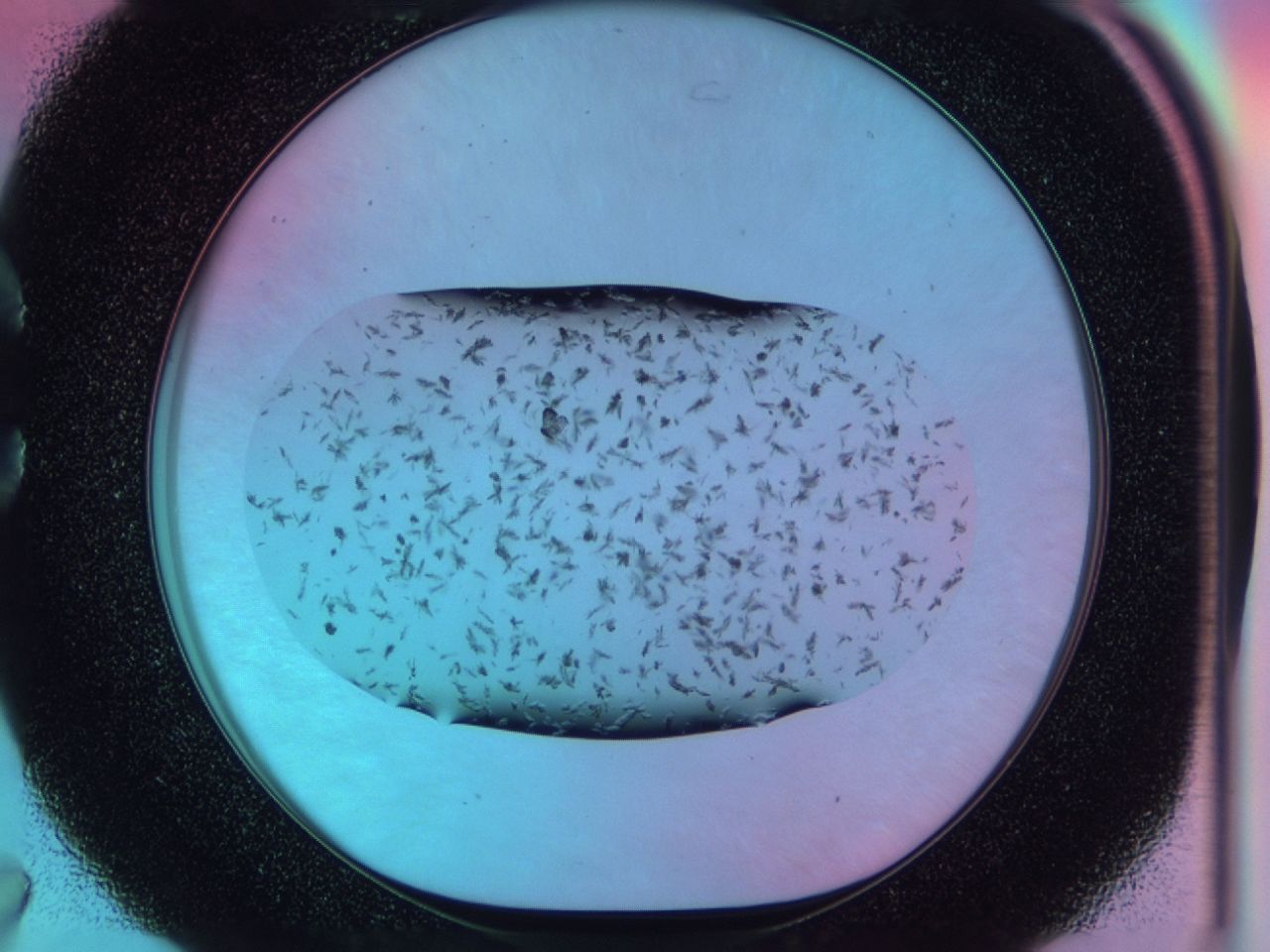 03xa_C7_ImagerDefaults_7.jpg
