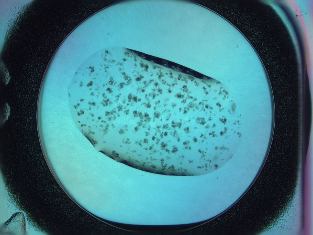 03xa_C11_ImagerDefaults_7.jpg
