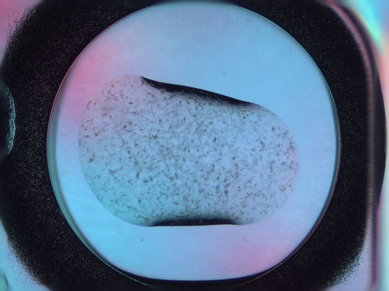 03xa_D2_ImagerDefaults_7.jpg