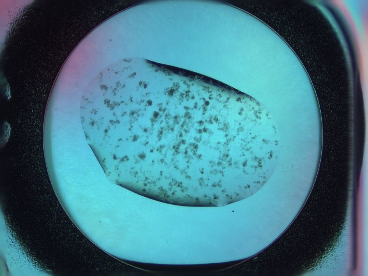 03xa_C9_ImagerDefaults_7.jpg