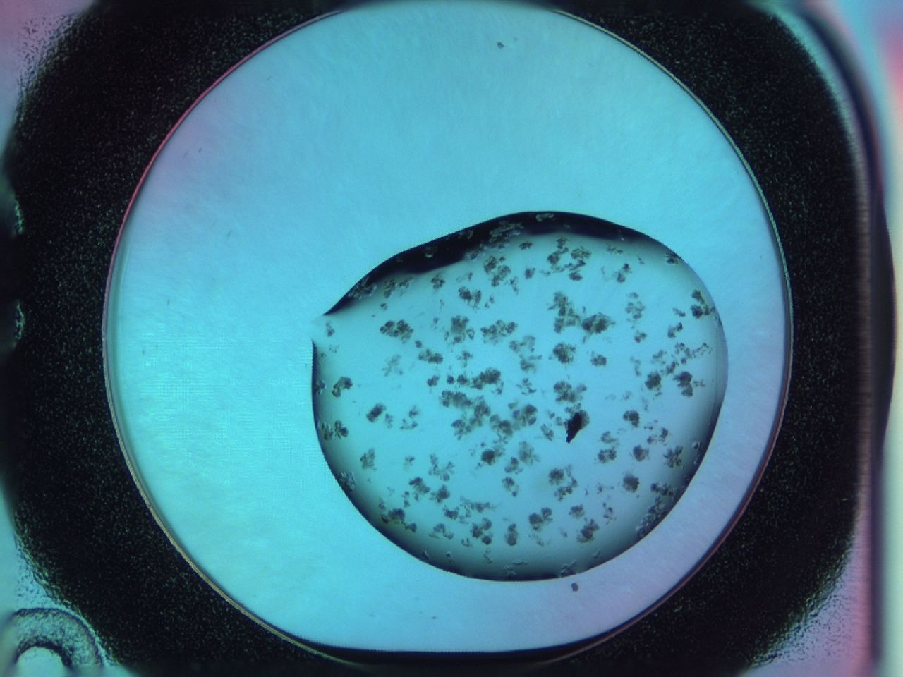 03xa_C10_ImagerDefaults_7.jpg