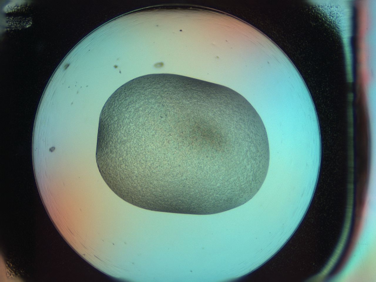 03y9_A12_ImagerDefaults_7.jpg