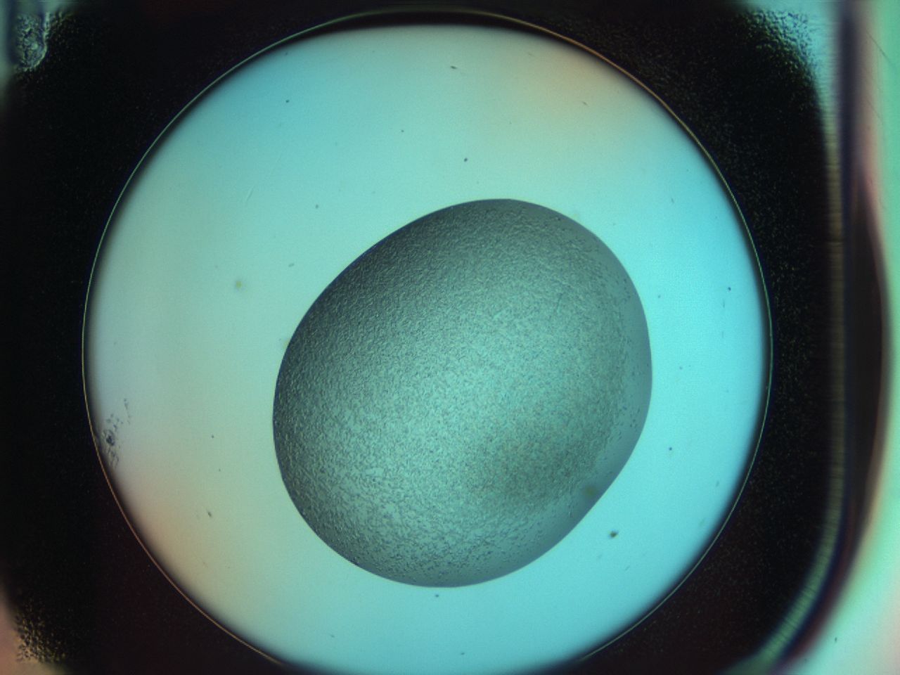 03y9_A11_ImagerDefaults_7.jpg