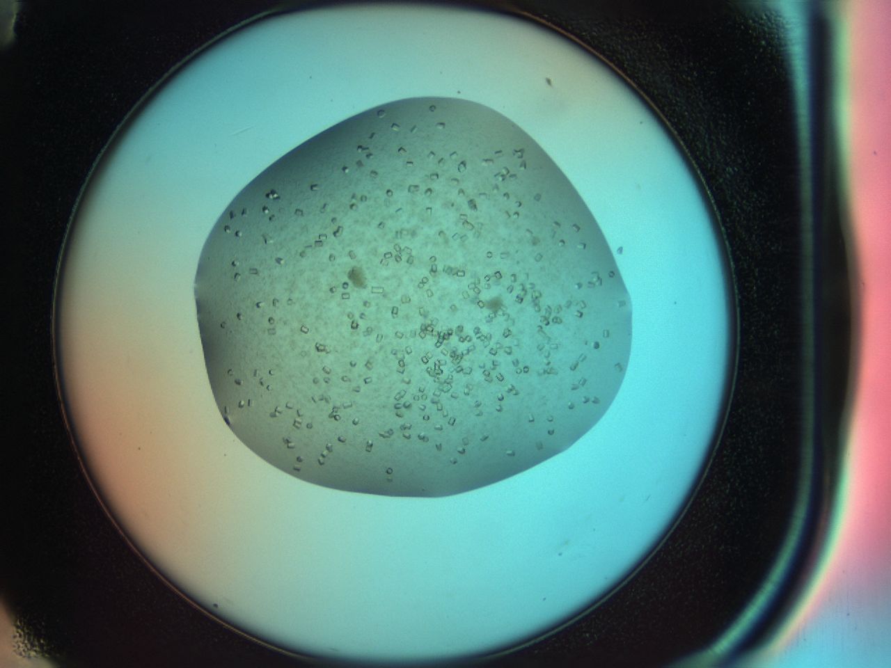 03y9_E11_ImagerDefaults_8.jpg