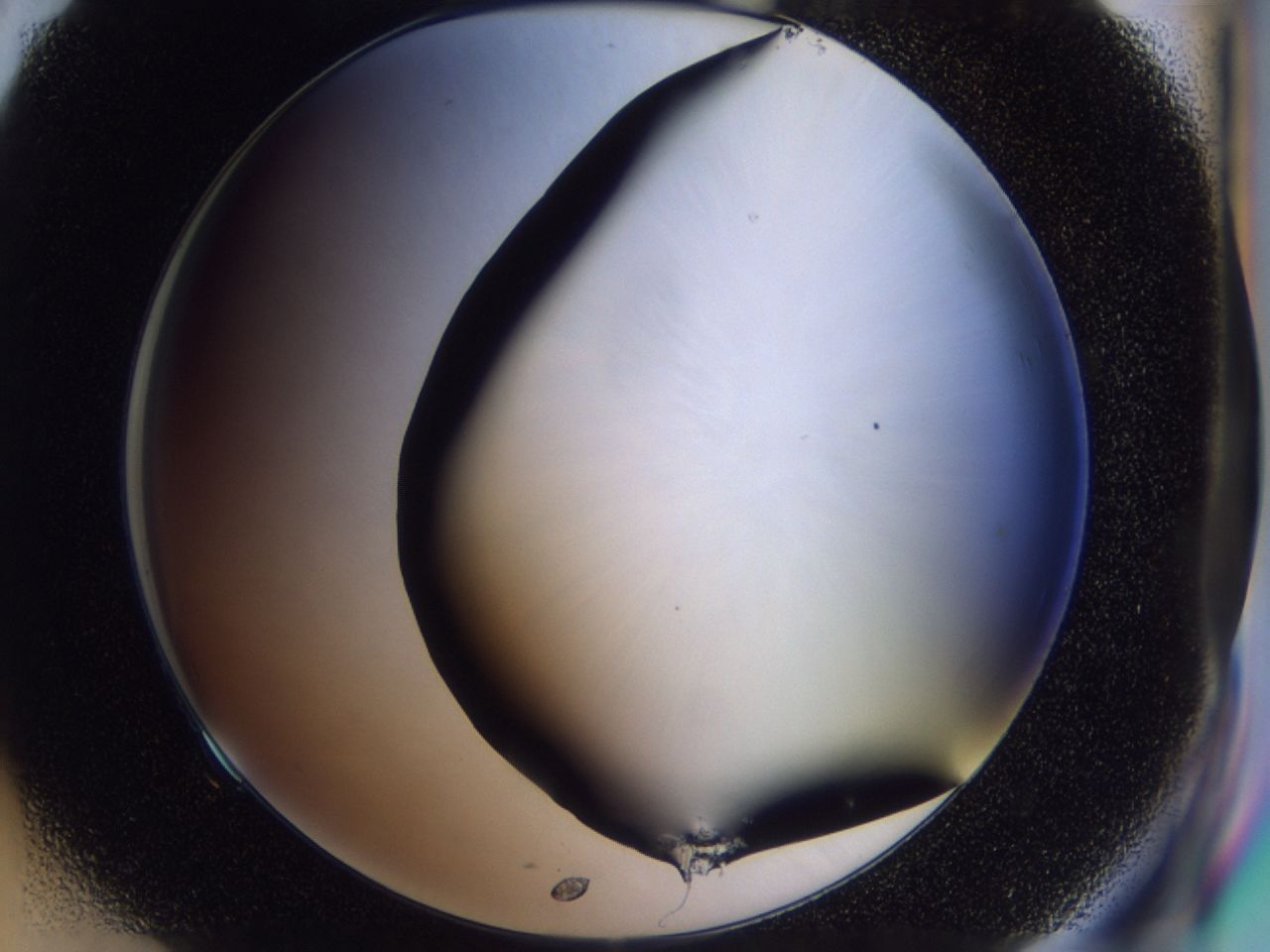 03yi_F9_ImagerDefaults_9.jpg