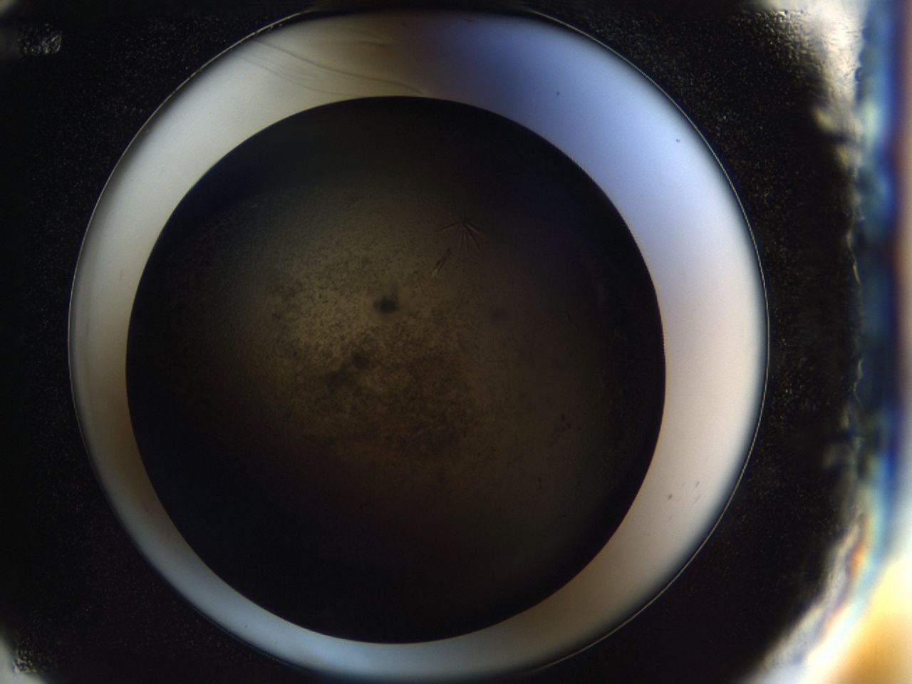03ym_E12_ImagerDefaults_9.jpg