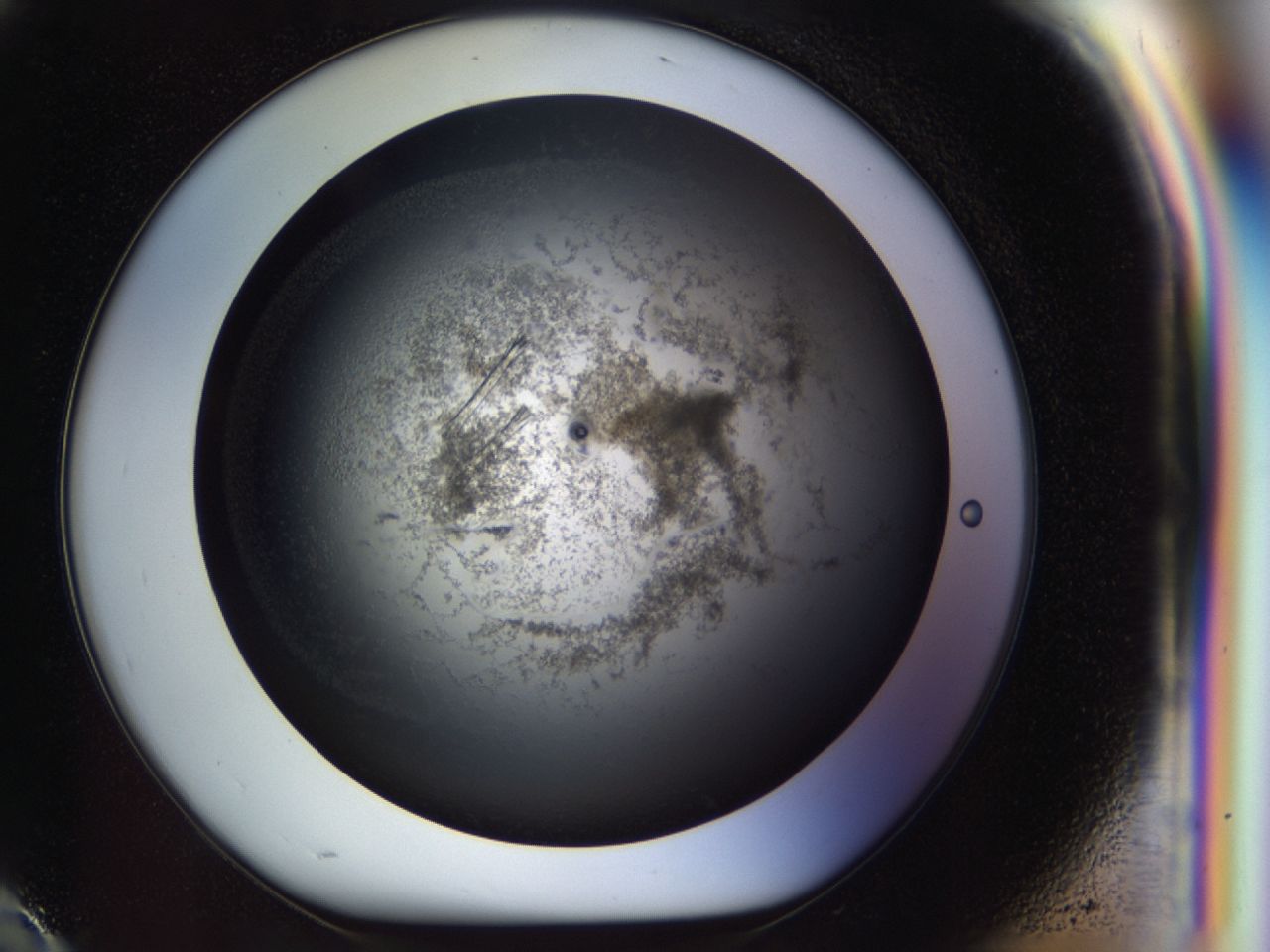03yn_H10_ImagerDefaults_9.jpg