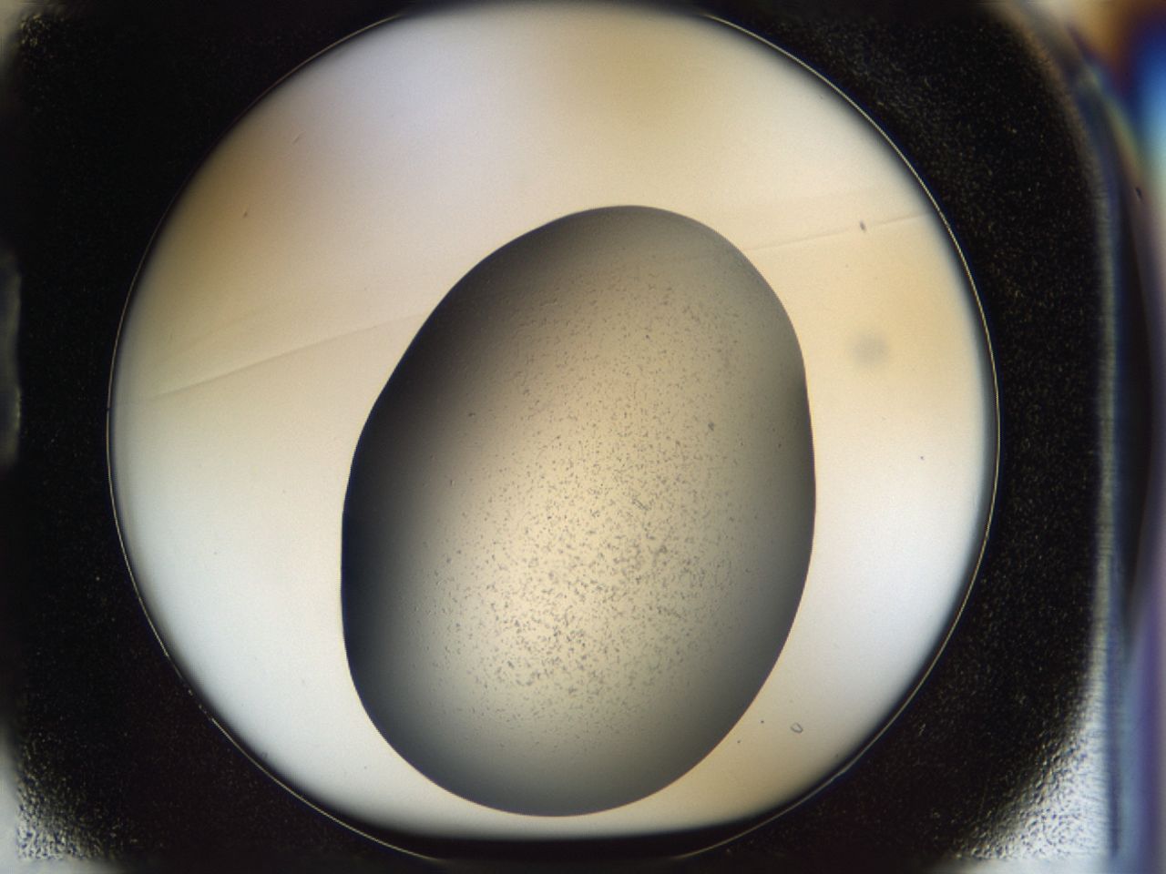03yq_B1_ImagerDefaults_6.jpg