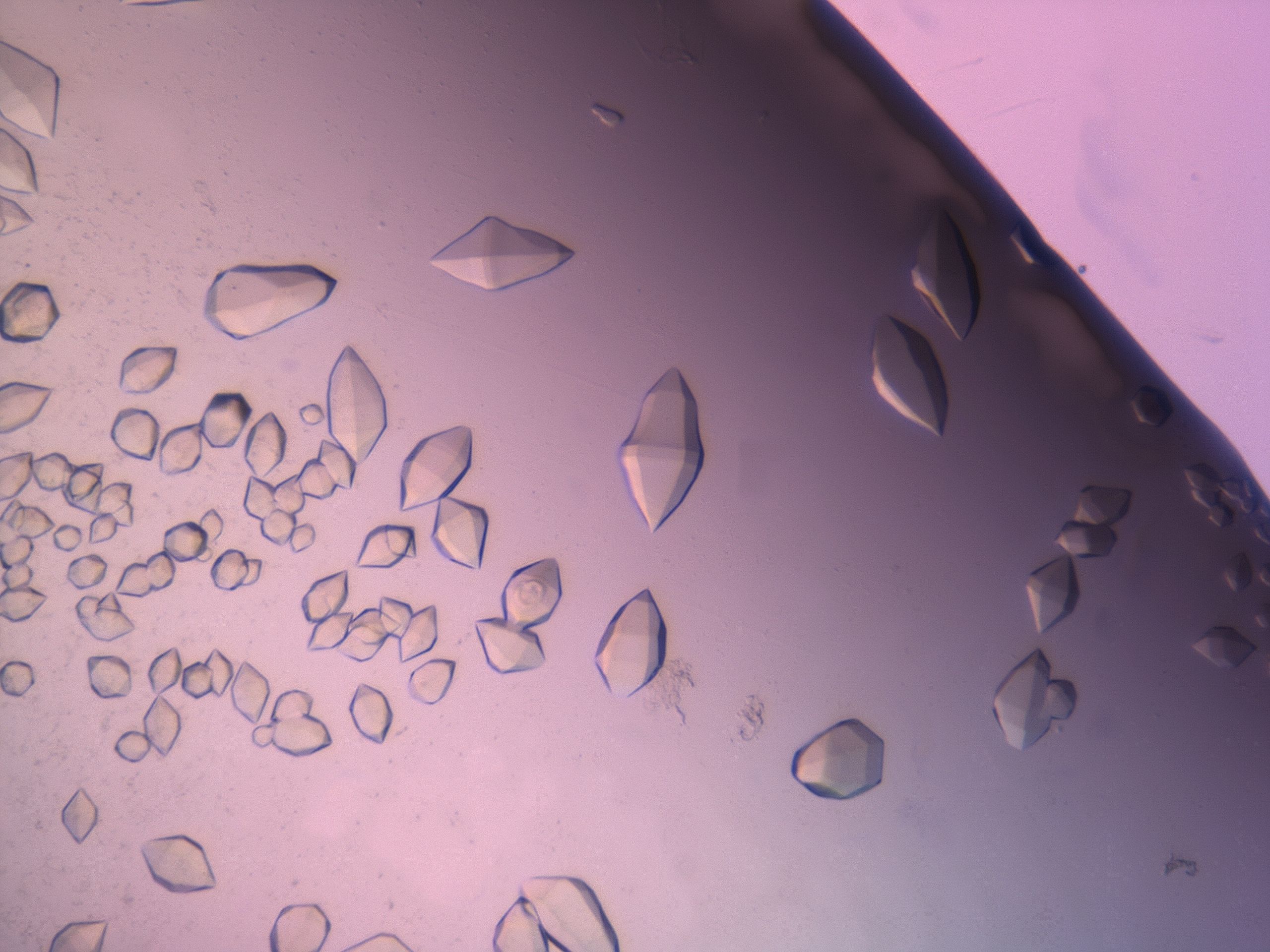 03z1_G6_HighResolution_9.jpg