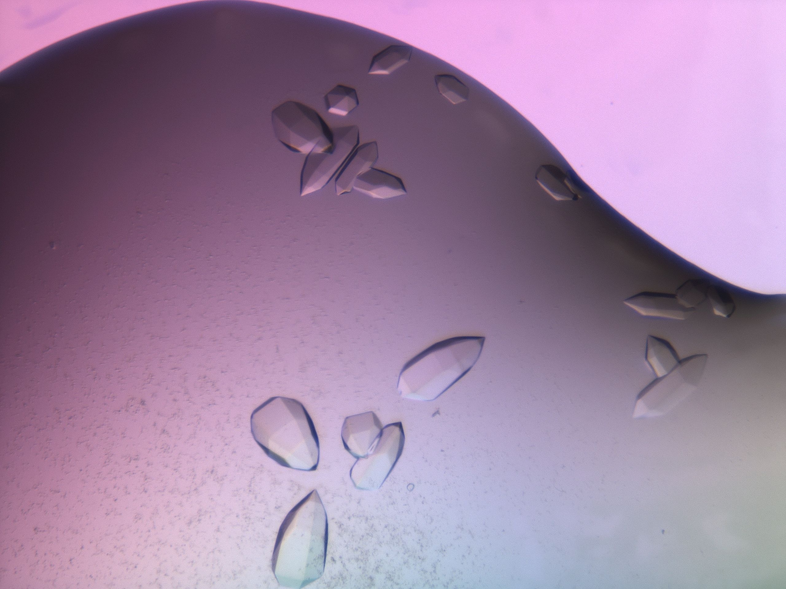 03z1_G3_HighResolution_9.jpg