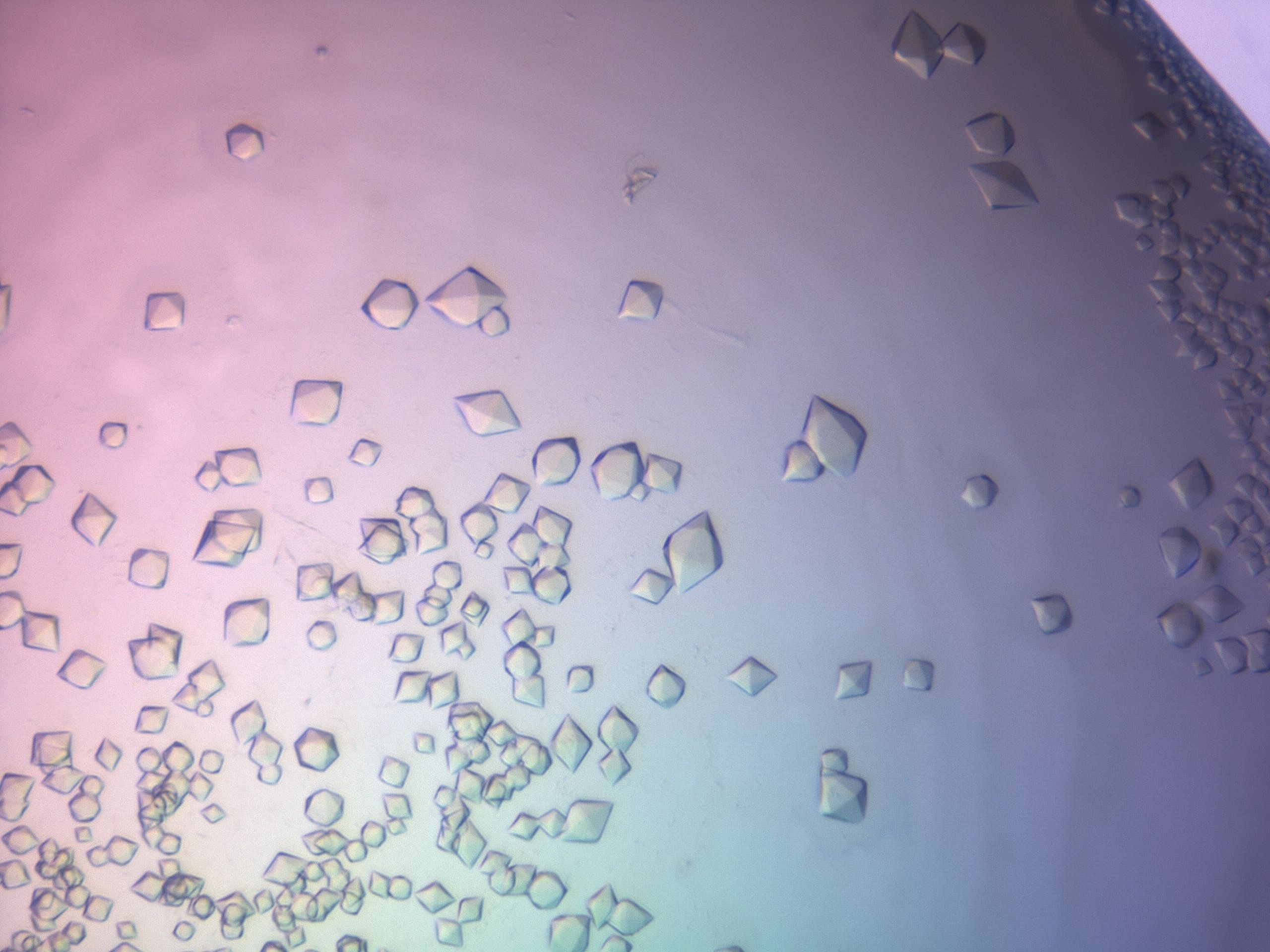 03z1_G2_HighResolution_9.jpg