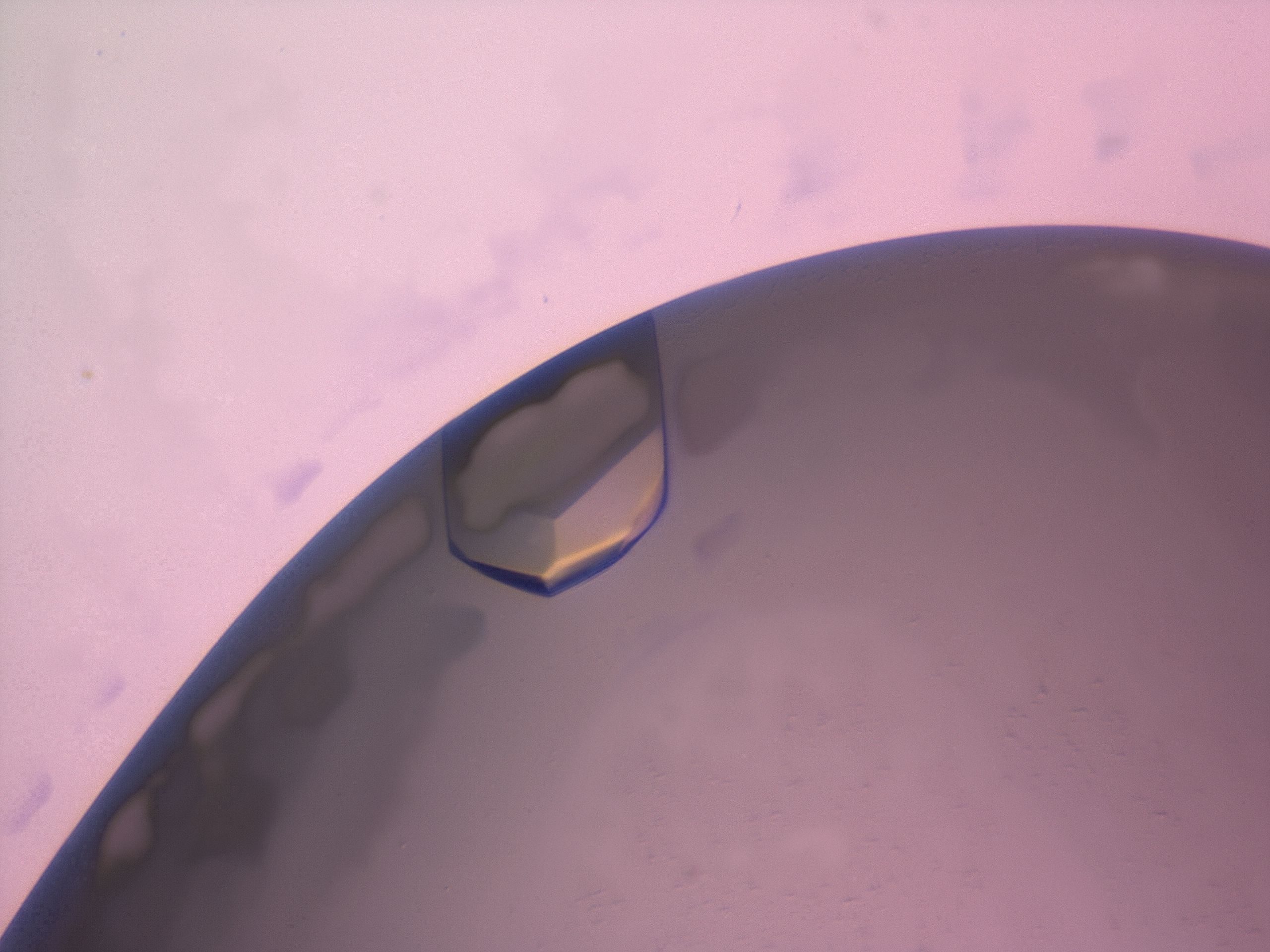 03z1_D9_HighResolution_9.jpg